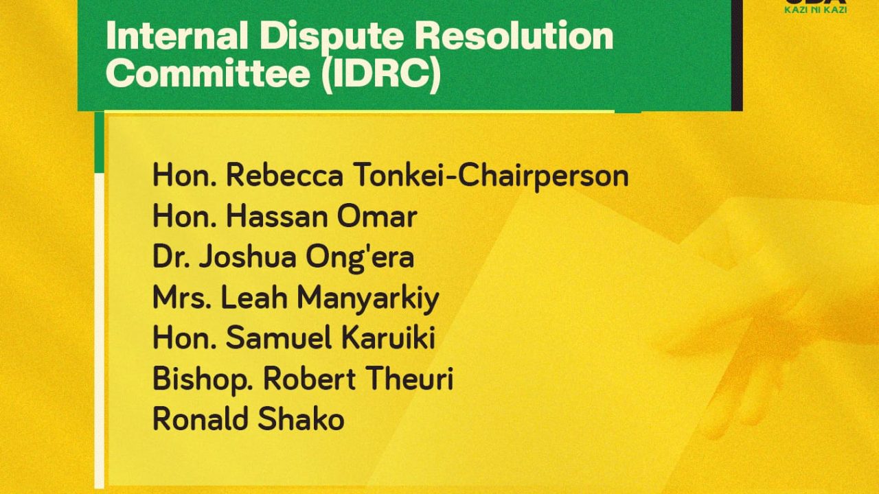 UDA PARTY GRASSROOTS ELECTION 2024