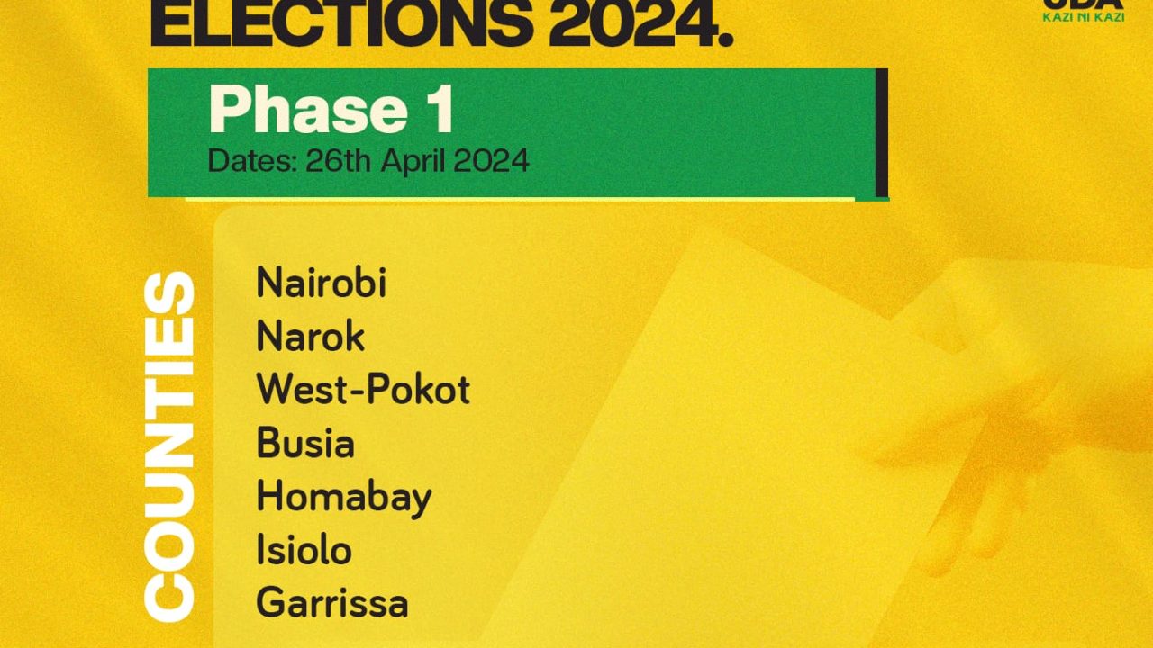 UDA PARTY GRASSROOTS ELECTION 2024