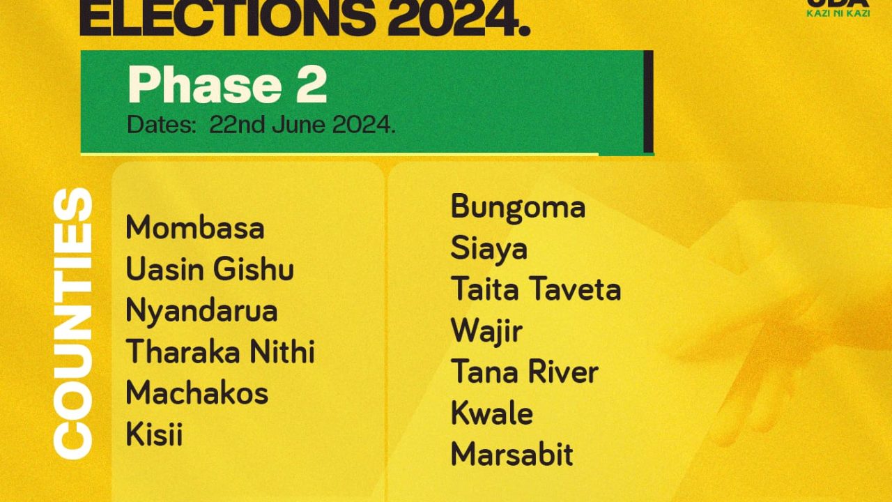 UDA PARTY GRASSROOTS ELECTION 2024