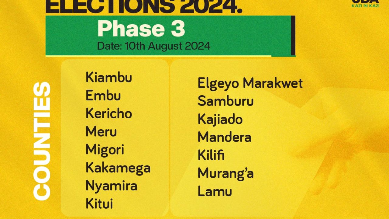 UDA PARTY GRASSROOTS ELECTION 2024